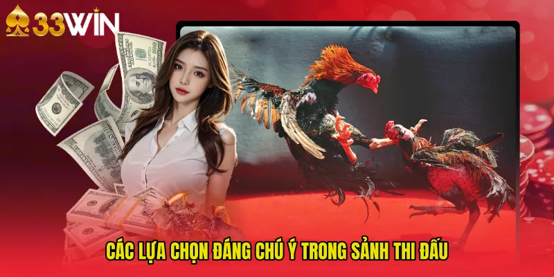 Các lựa chọn đáng chú ý trong sảnh thi đấu