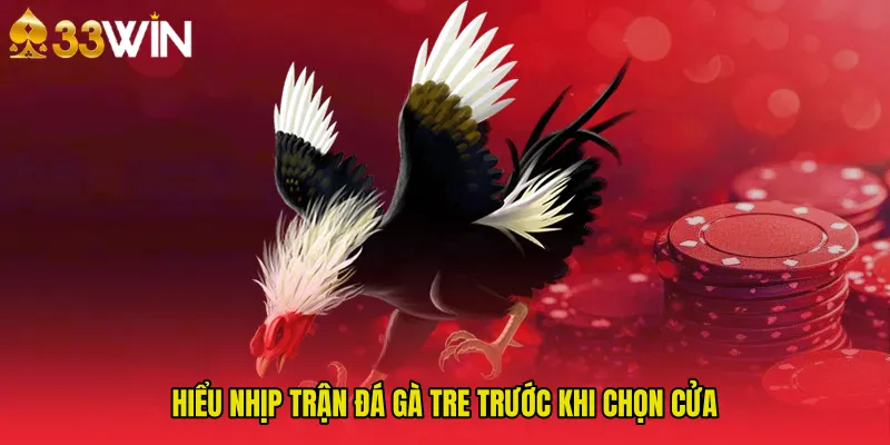 Hiểu nhịp trận Đá gà tre trước khi chọn cửa