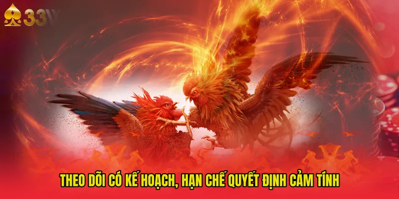 Theo dõi có kế hoạch, hạn chế quyết định cảm tính